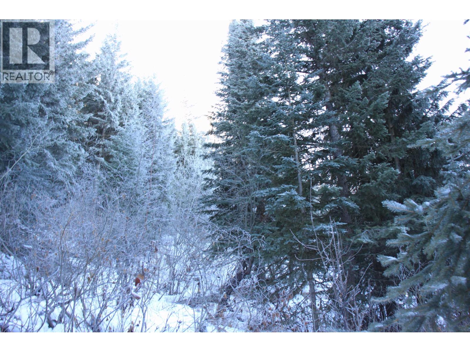 Prop Lot 30 Brown Road, Bridge Lake, British Columbia  V0K 1X2 - Photo 19 - R3084302