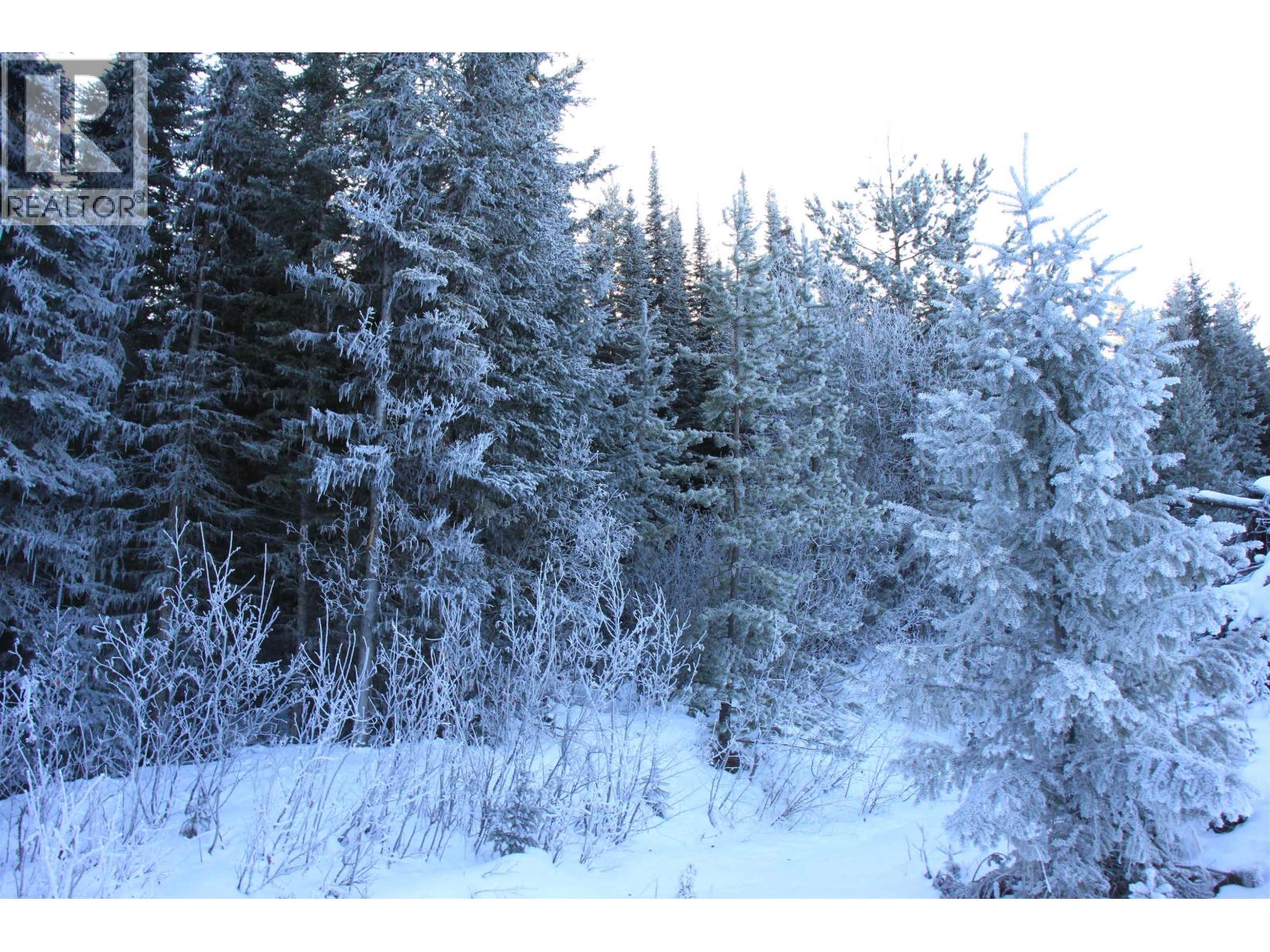 Prop Lot 30 Brown Road, Bridge Lake, British Columbia  V0K 1X2 - Photo 4 - R3084302