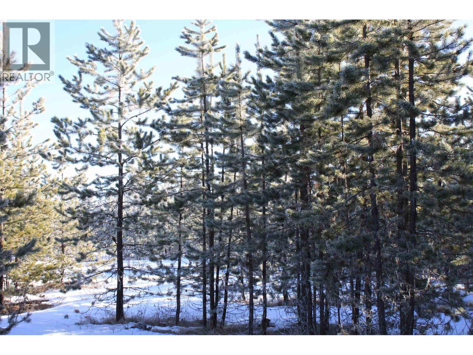 Prop Lot 30 Brown Road, Bridge Lake, British Columbia  V0K 1X2 - Photo 9 - R3084302