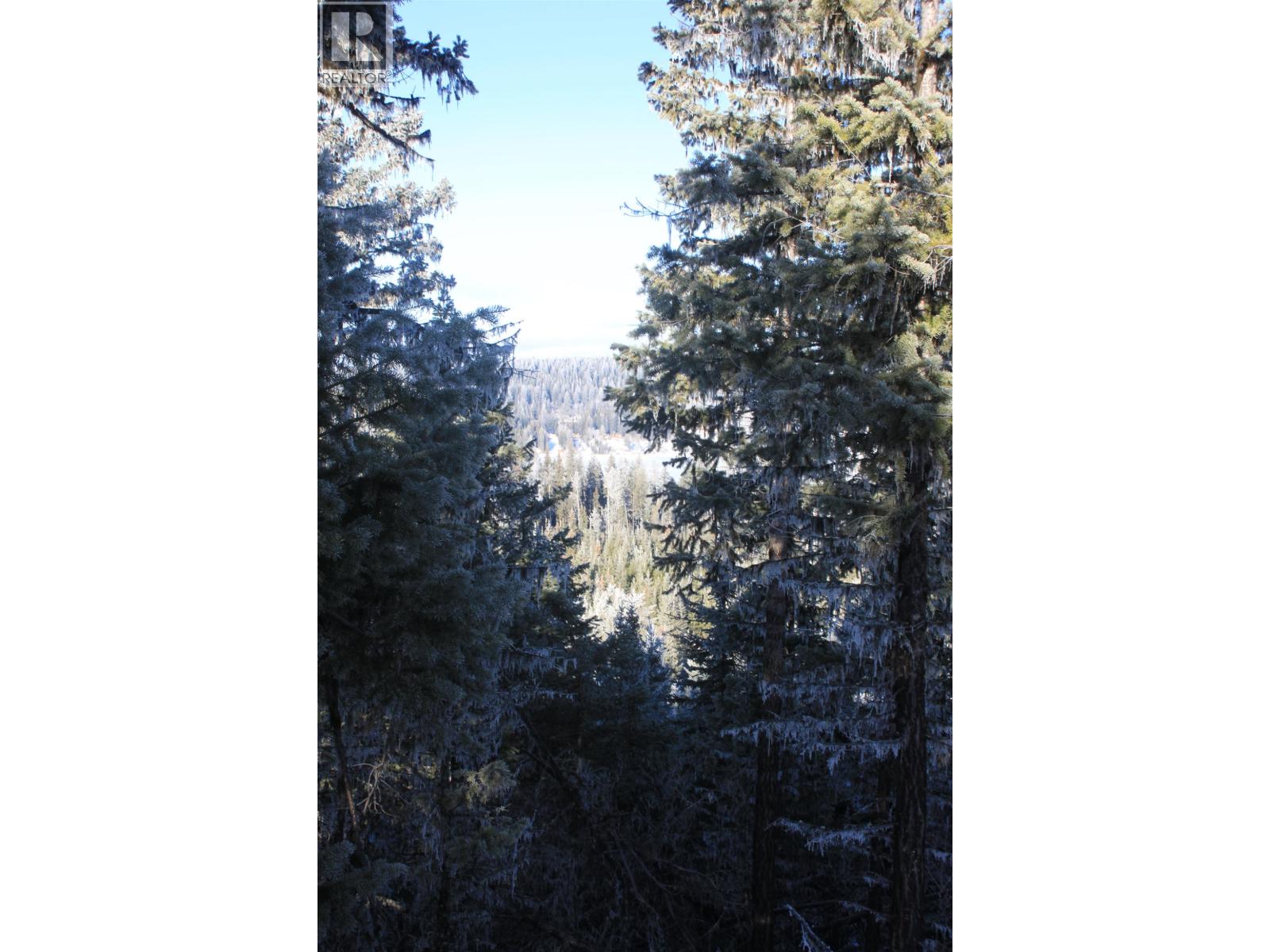 Prop Lot 30 Brown Road, Bridge Lake, British Columbia  V0K 1X2 - Photo 6 - R3084302