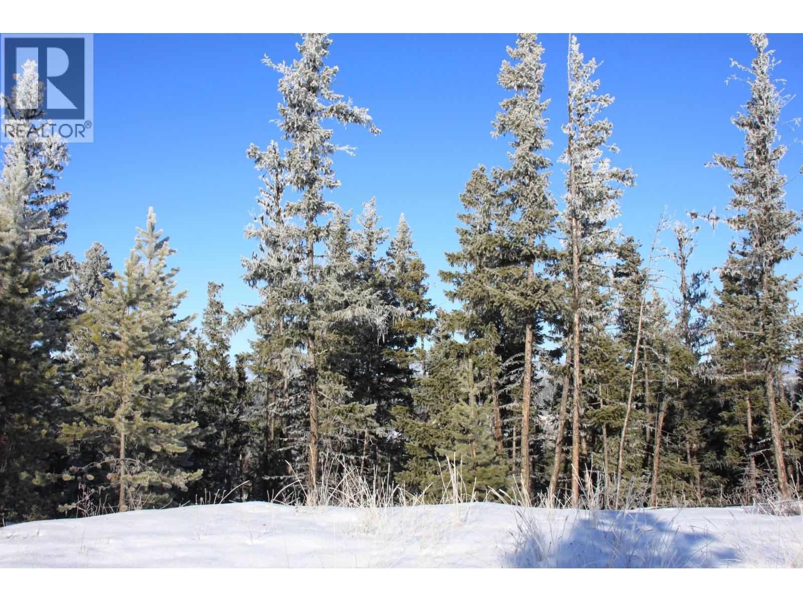 Prop Lot 30 Brown Road, Bridge Lake, British Columbia  V0K 1X2 - Photo 21 - R3084302