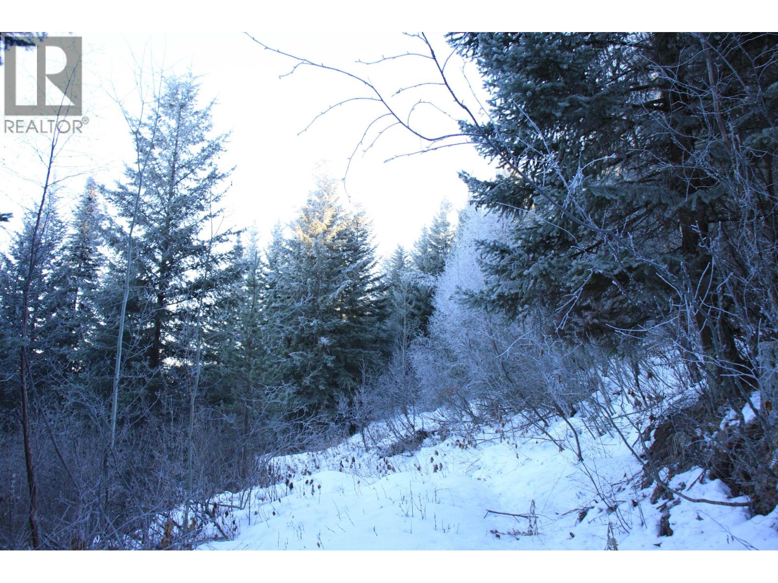 Prop Lot 30 Brown Road, Bridge Lake, British Columbia  V0K 1X2 - Photo 15 - R3084302