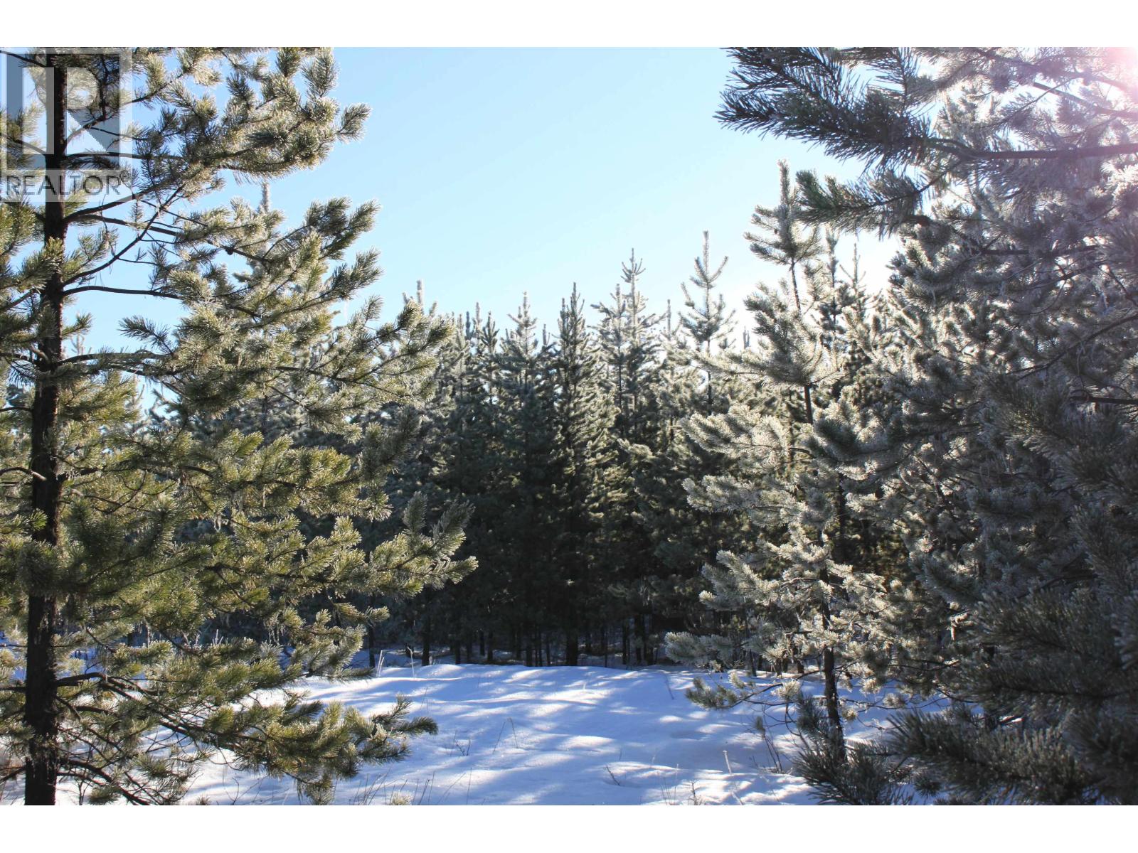 Prop Lot 30 Brown Road, Bridge Lake, British Columbia  V0K 1X2 - Photo 10 - R3084302