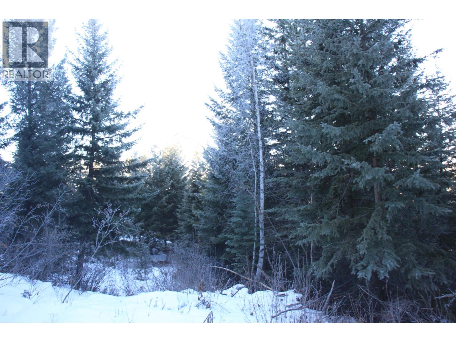 Prop Lot 30 Brown Road, Bridge Lake, British Columbia  V0K 1X2 - Photo 16 - R3084302