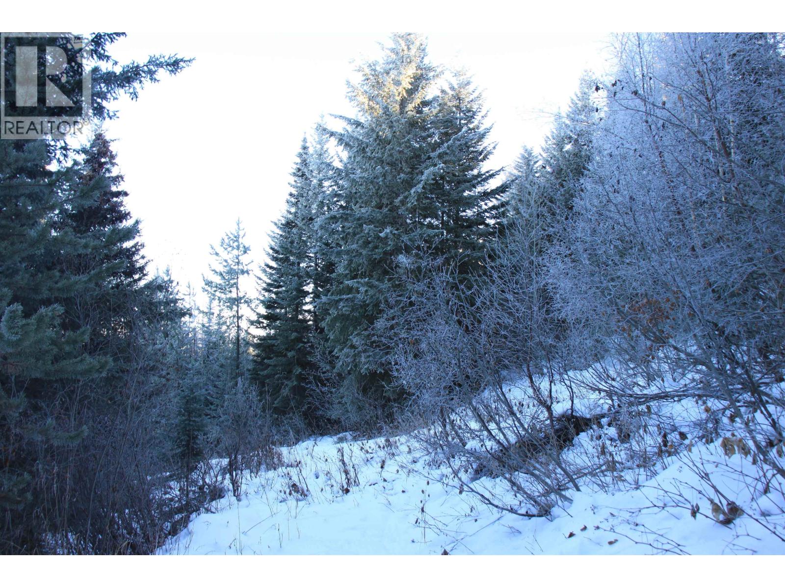 Prop Lot 30 Brown Road, Bridge Lake, British Columbia  V0K 1X2 - Photo 13 - R3084302