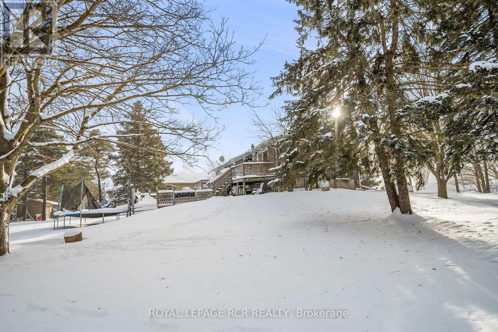 707 Victoria Street, Shelburne, Ontario  L9V 3M5 - Photo 7 - X12739884