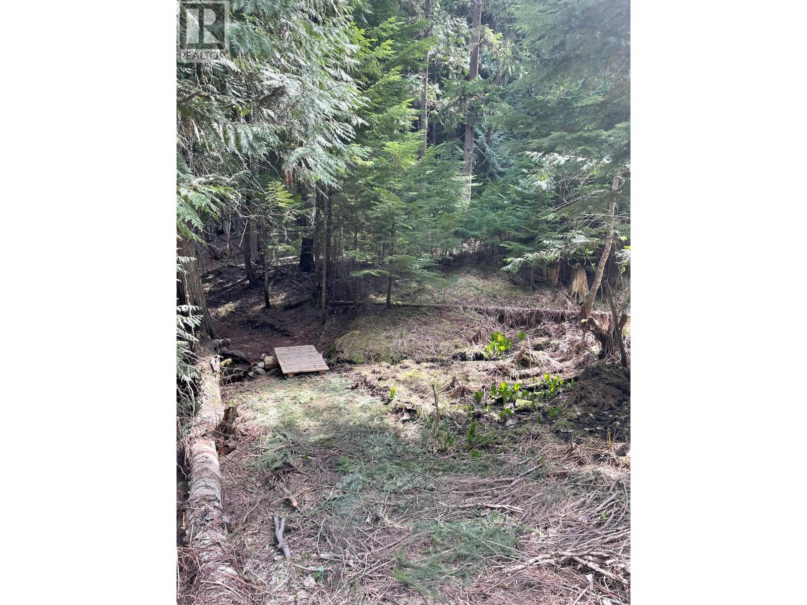 4144 Passmore Upper Road, Winlaw, British Columbia  V0G 1M0 - Photo 4 - 10374241