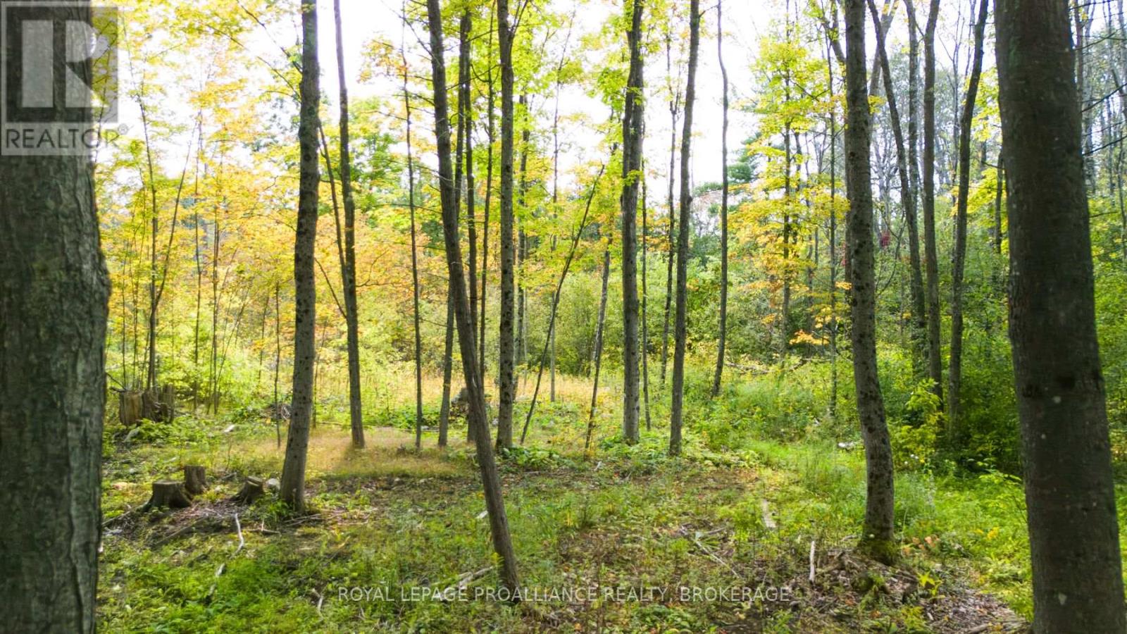 3590 Alton Road W, Frontenac, Ontario  K0H 1V0 - Photo 2 - X12740102