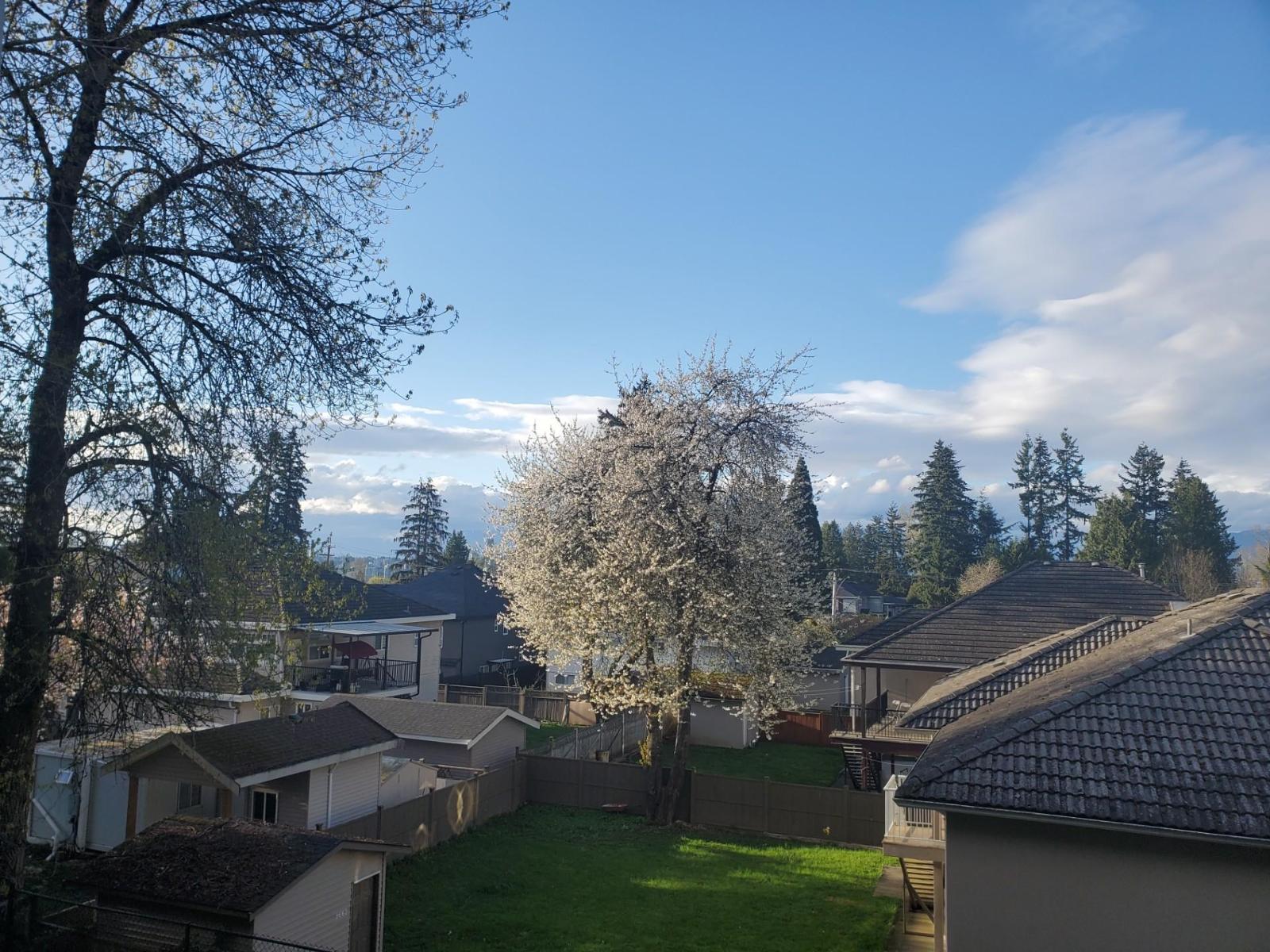 210 9635 121 Street, Surrey, British Columbia V3V 7L8 - Photo 23 - R3083862