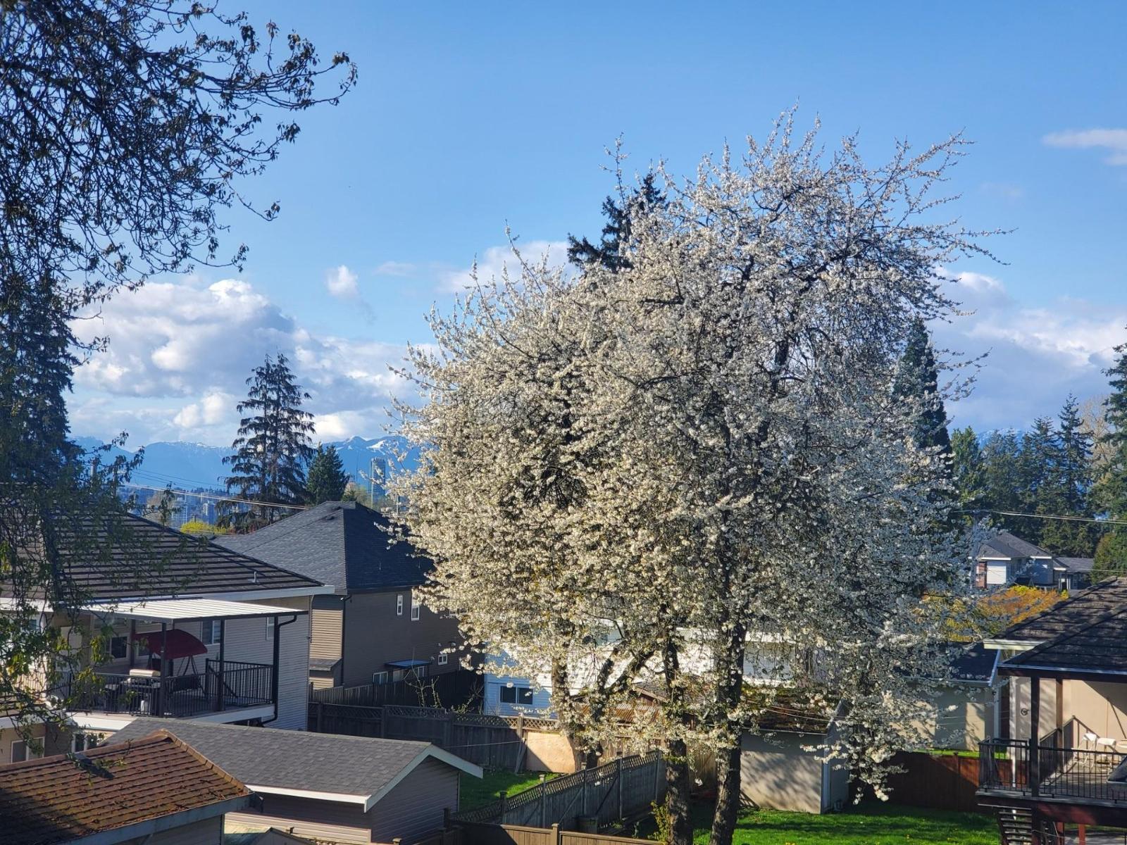 210 9635 121 Street, Surrey, British Columbia V3V 7L8 - Photo 24 - R3083862