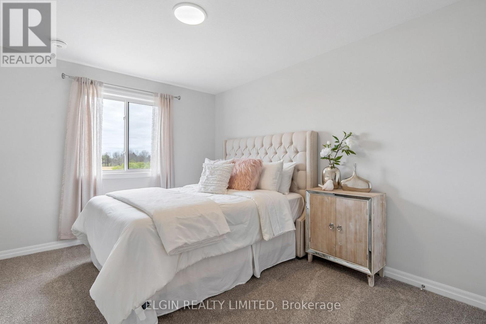 29 Braun Avenue, Tillsonburg, Ontario  N4G 0K5 - Photo 27 - X12739974