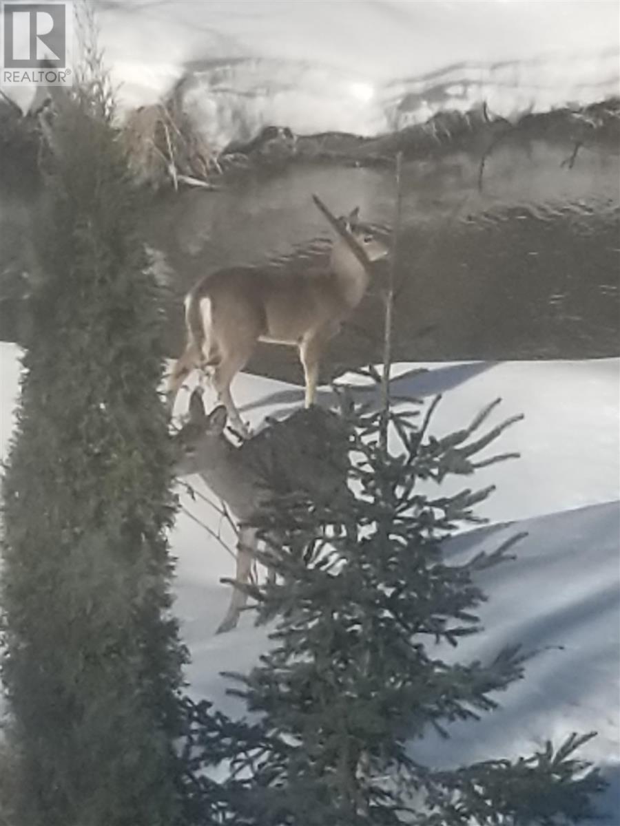 1285 Old Garden River Rd, Sault Ste. Marie, Ontario P6A 6J8 - Photo 46 - SM252075