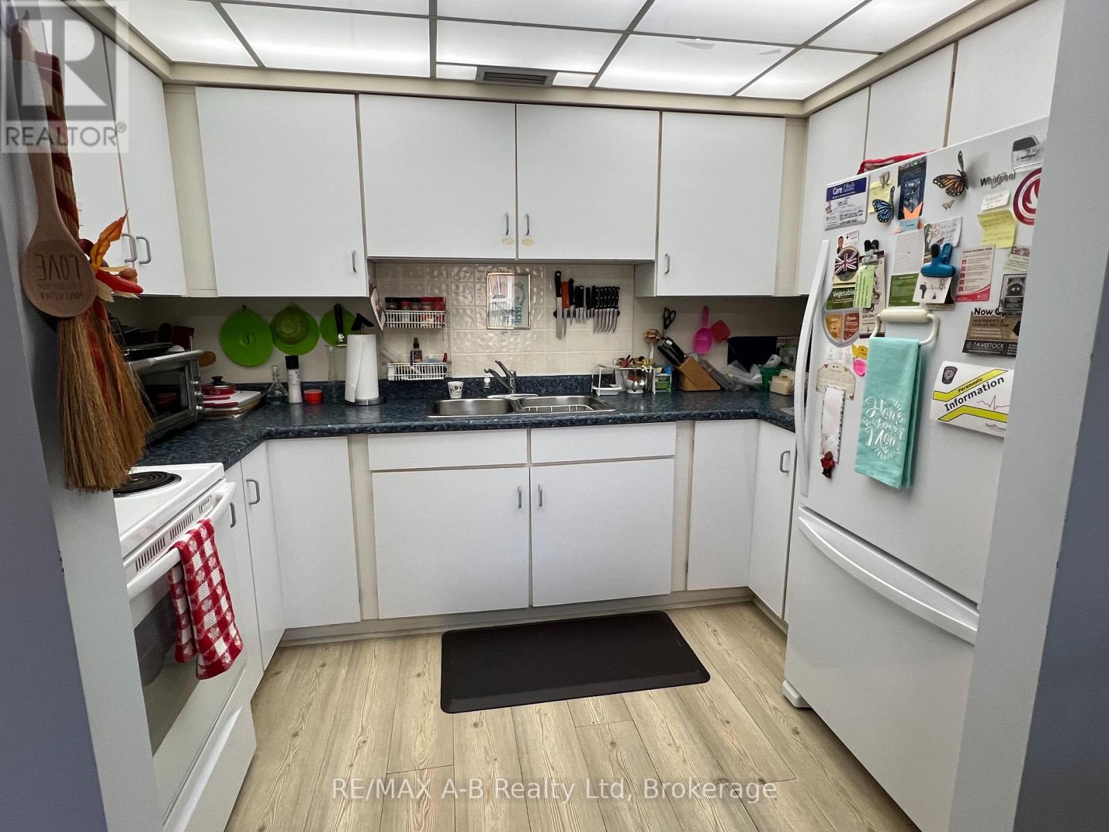 310 - 199 Hope Street E, East Zorra-Tavistock, Ontario  N0B 2R0 - Photo 11 - X12573338