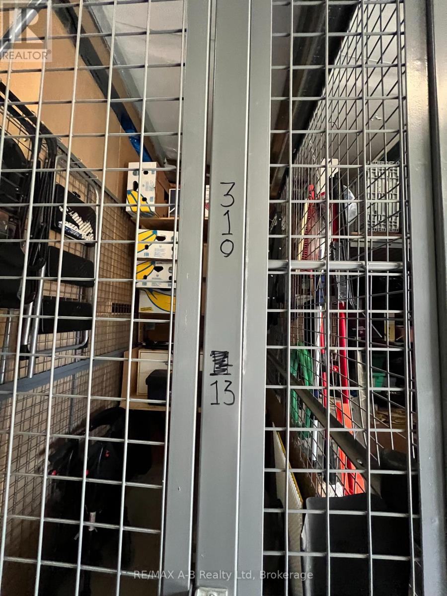 310 - 199 Hope Street E, East Zorra-Tavistock, Ontario  N0B 2R0 - Photo 38 - X12573338