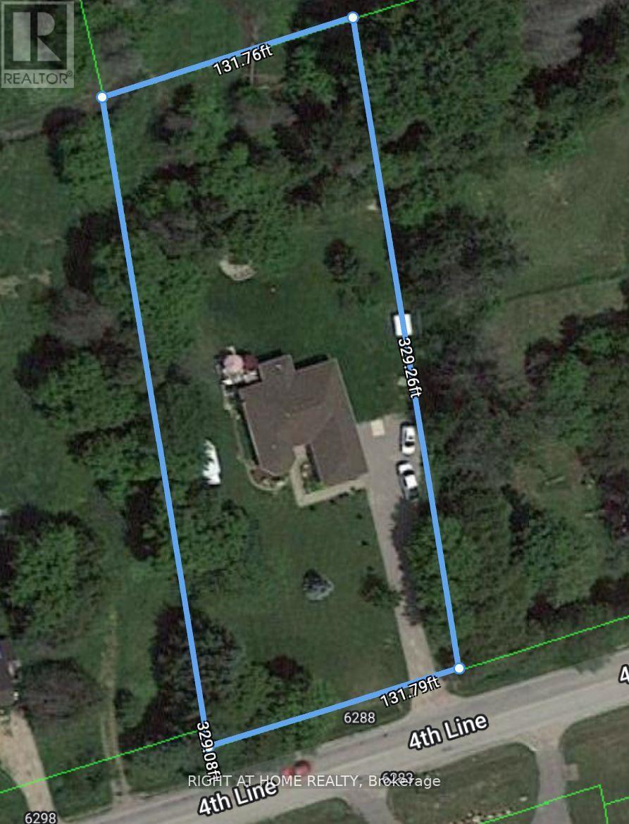 6288 4th Line, New Tecumseth, Ontario  L0G 1W0 - Photo 19 - N12740004