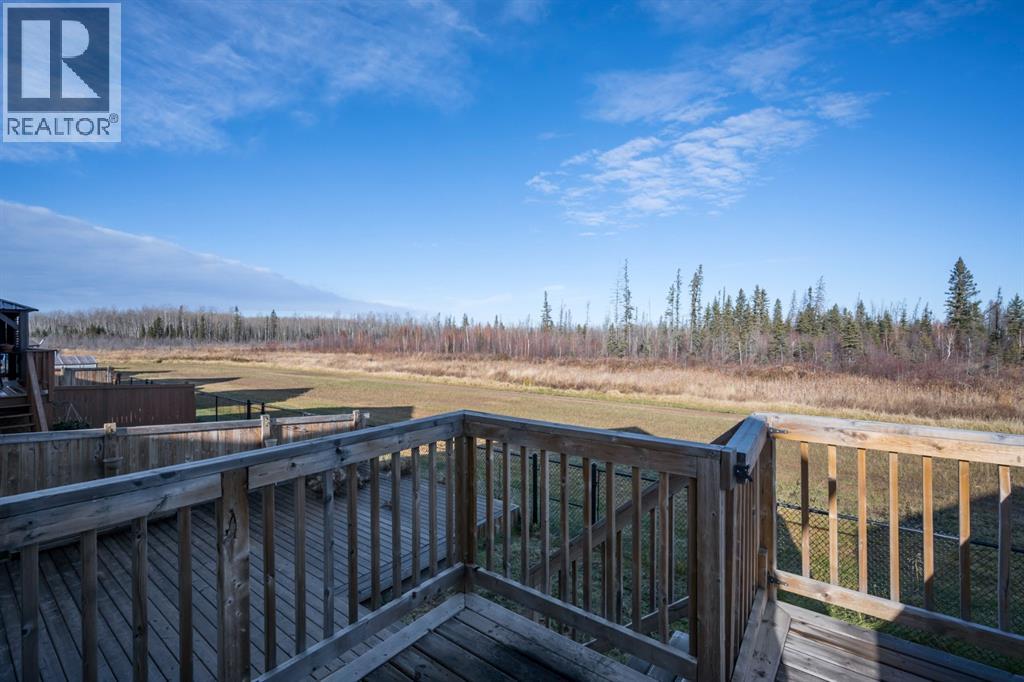 353 Walnut Crescent, Fort Mcmurray, Alberta  T9K 0W3 - Photo 23 - A2281578