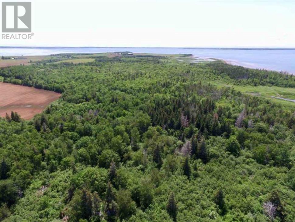 Acreage Little Marsh Road, Hamilton, Prince Edward Island  C0B 1M0 - Photo 9 - 202601723
