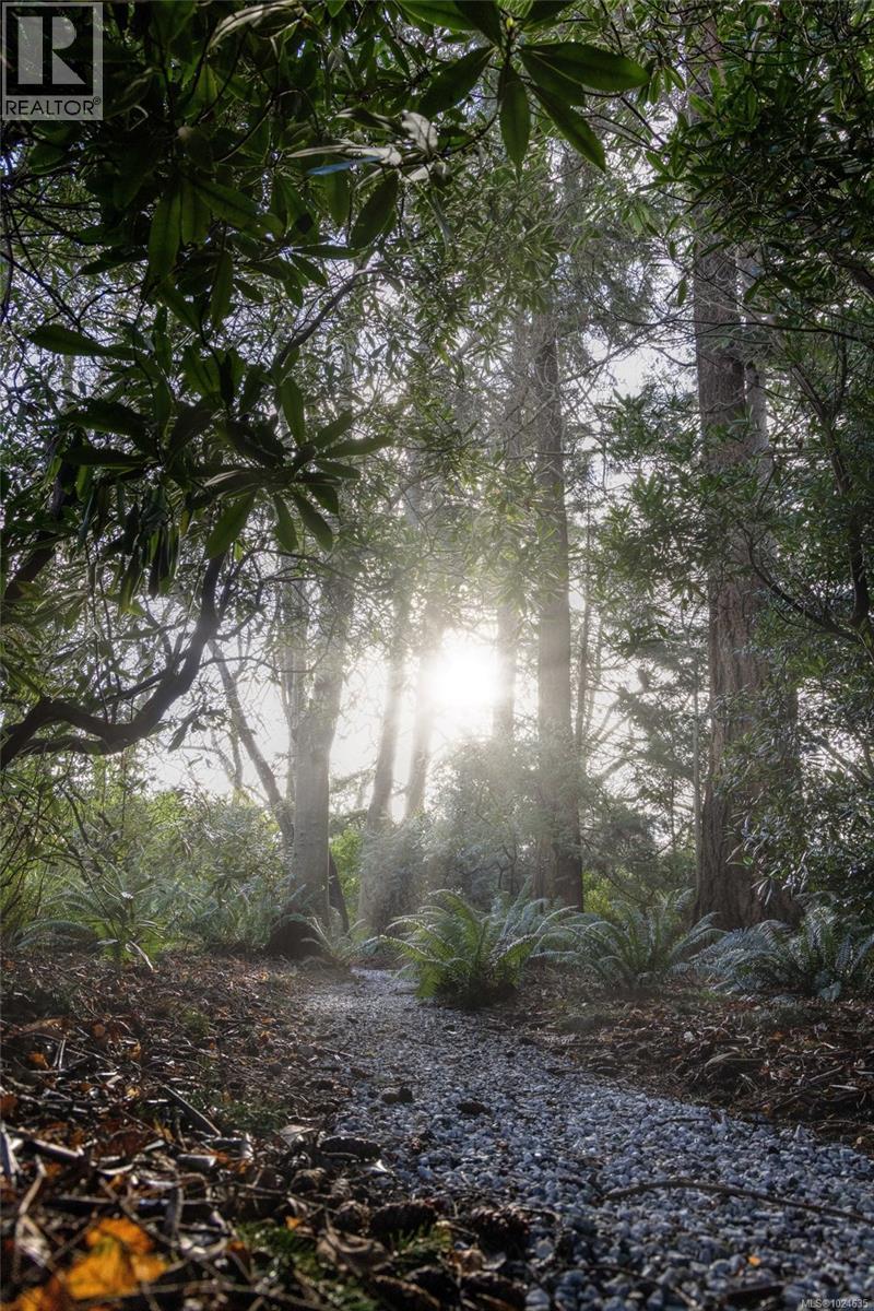 3175 Beach Dr, Oak Bay, British Columbia  V8R 6L7 - Photo 93 - 1024635