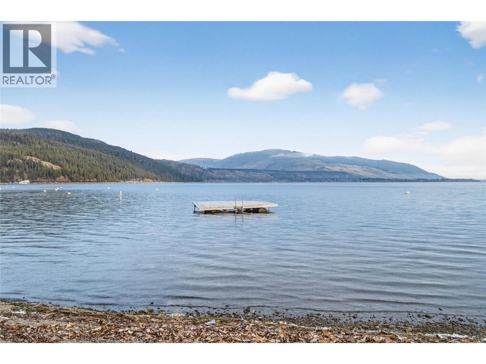 206 Falcon Avenue, Vernon, British Columbia  V1H 2A1 - Photo 50 - 10374278