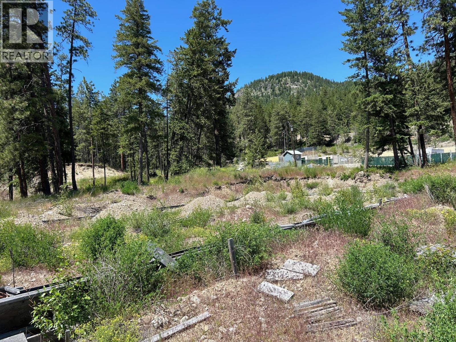 5460 McDougald Road Peachland Photo 9