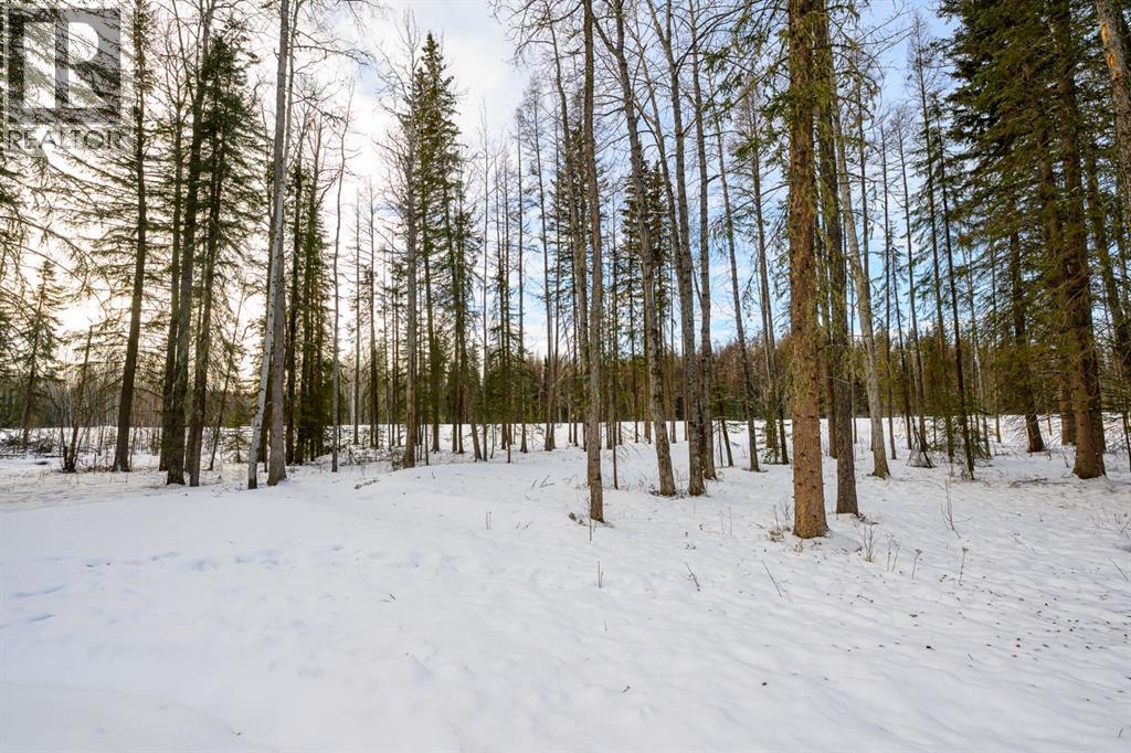 57-704010 64 Range Road, Rural Grande Prairie No. 1, Alberta  T8W 5C5 - Photo 37 - A2281810