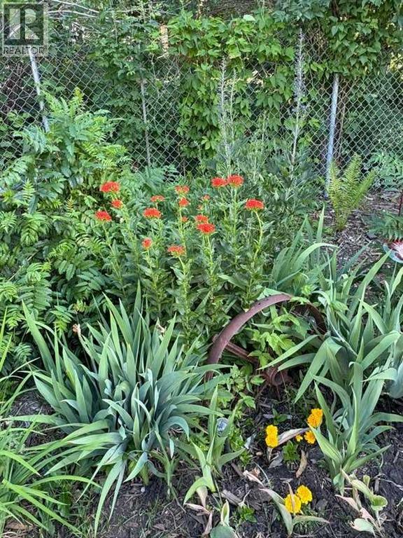 5031 57 Street, Lacombe, Alberta  T4L 1X8 - Photo 36 - A2281738