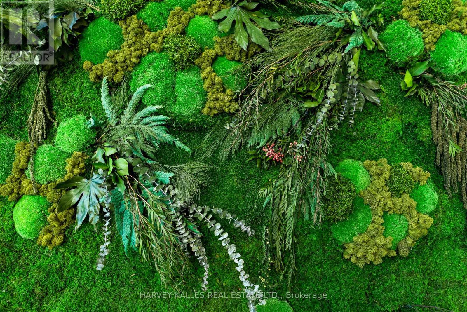 311 - 300 Manitoba Street, Toronto, Ontario  M8Y 4G6 - Photo 31 - W12740428