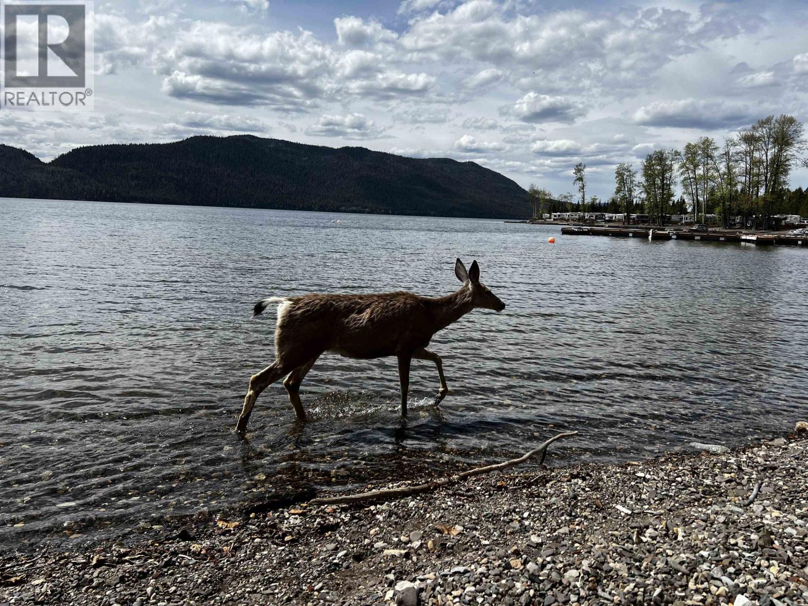 Cabin 5 153 Birch Bay Resort Road, Fraser Lake, British Columbia  V0J 1S0 - Photo 36 - R3084643