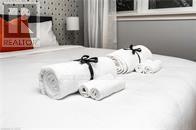 58 Brandon Avenue, Kitchener, Ontario  N2M 2J3 - Photo 22 - X12740486