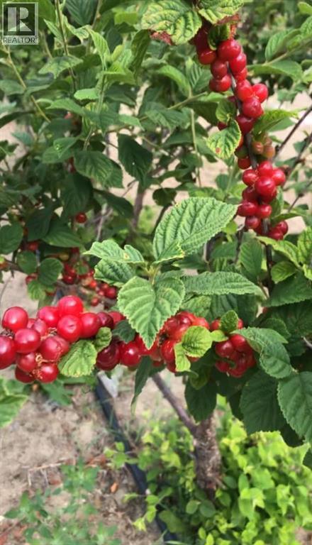 83477 Fairgrounds Road, Rural Northern Sunrise County, Alberta  T8S 1S2 - Photo 33 - A2279835