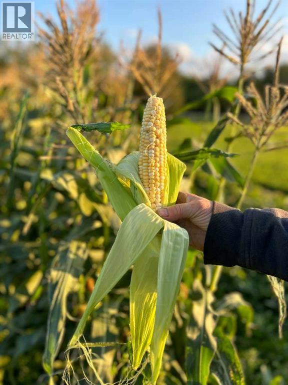 83477 Fairgrounds Road, Rural Northern Sunrise County, Alberta  T8S 1S2 - Photo 43 - A2279835