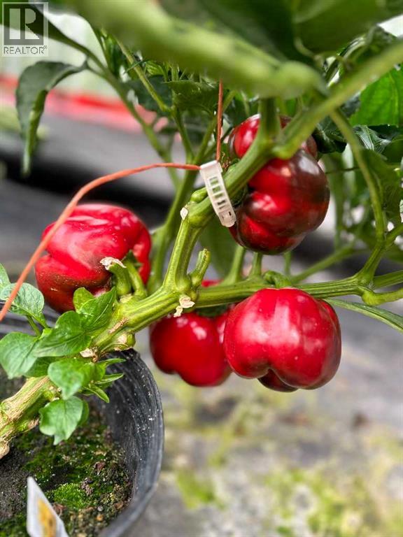 83477 Fairgrounds Road, Rural Northern Sunrise County, Alberta  T8S 1S2 - Photo 41 - A2279835