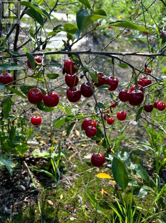 83477 Fairgrounds Road, Rural Northern Sunrise County, Alberta  T8S 1S2 - Photo 34 - A2279835