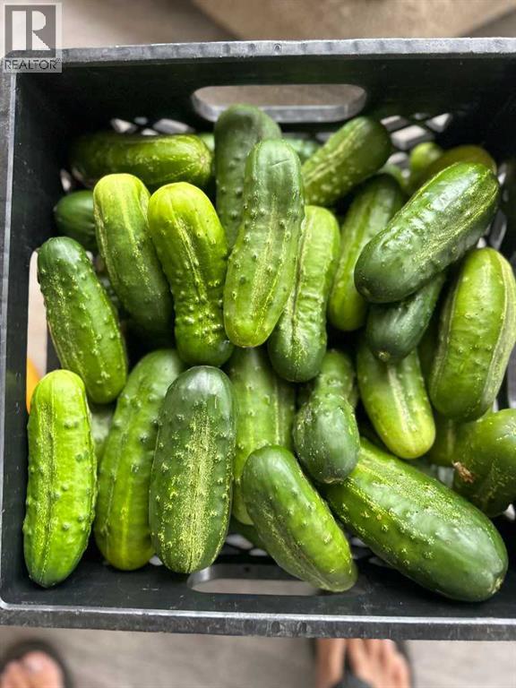 83477 Fairgrounds Road, Rural Northern Sunrise County, Alberta  T8S 1S2 - Photo 39 - A2279835