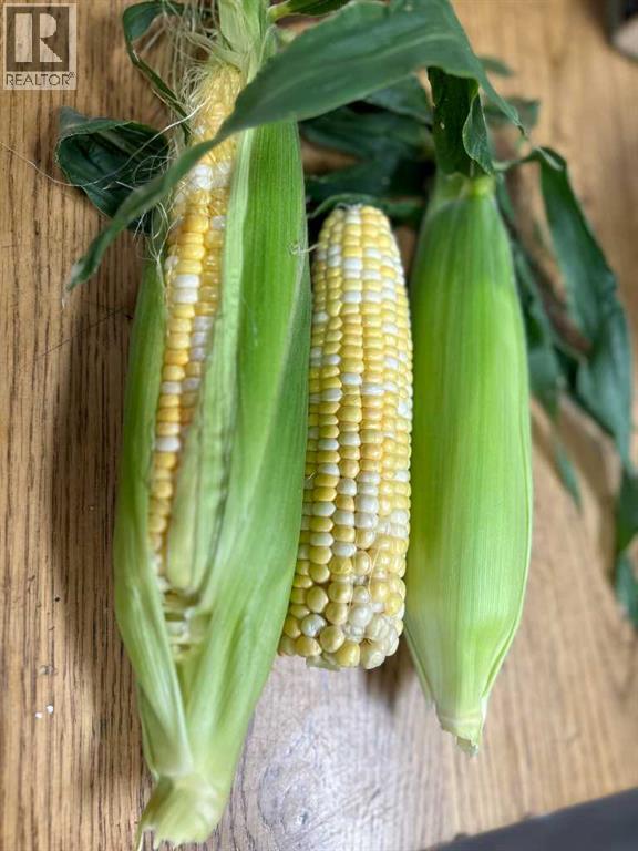 83477 Fairgrounds Road, Rural Northern Sunrise County, Alberta  T8S 1S2 - Photo 44 - A2279835