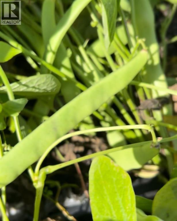 83477 Fairgrounds Road, Rural Northern Sunrise County, Alberta  T8S 1S2 - Photo 45 - A2279835