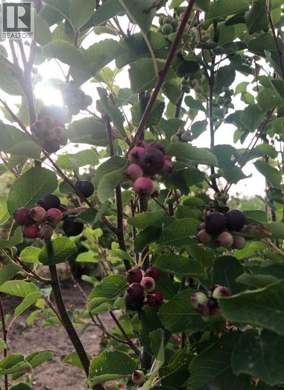 83477 Fairgrounds Road, Rural Northern Sunrise County, Alberta  T8S 1S2 - Photo 36 - A2279835