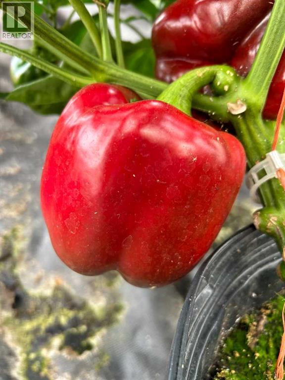 83477 Fairgrounds Road, Rural Northern Sunrise County, Alberta  T8S 1S2 - Photo 42 - A2279835