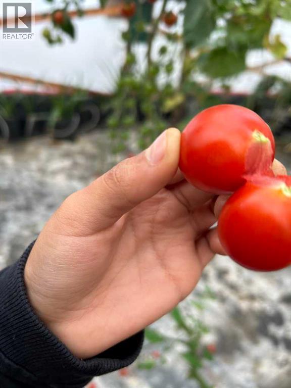 83477 Fairgrounds Road, Rural Northern Sunrise County, Alberta  T8S 1S2 - Photo 40 - A2279835