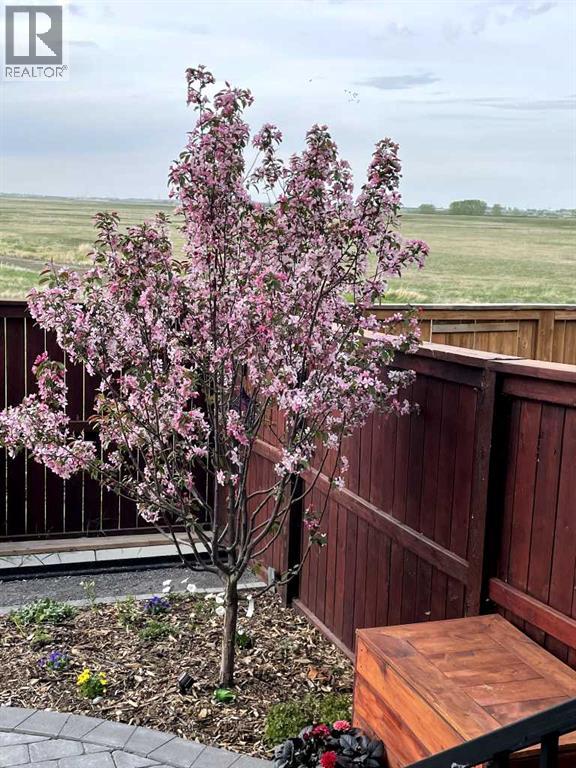 153 Williamstown Park Nw, Airdrie, Alberta  T4B 3Y9 - Photo 42 - A2281683