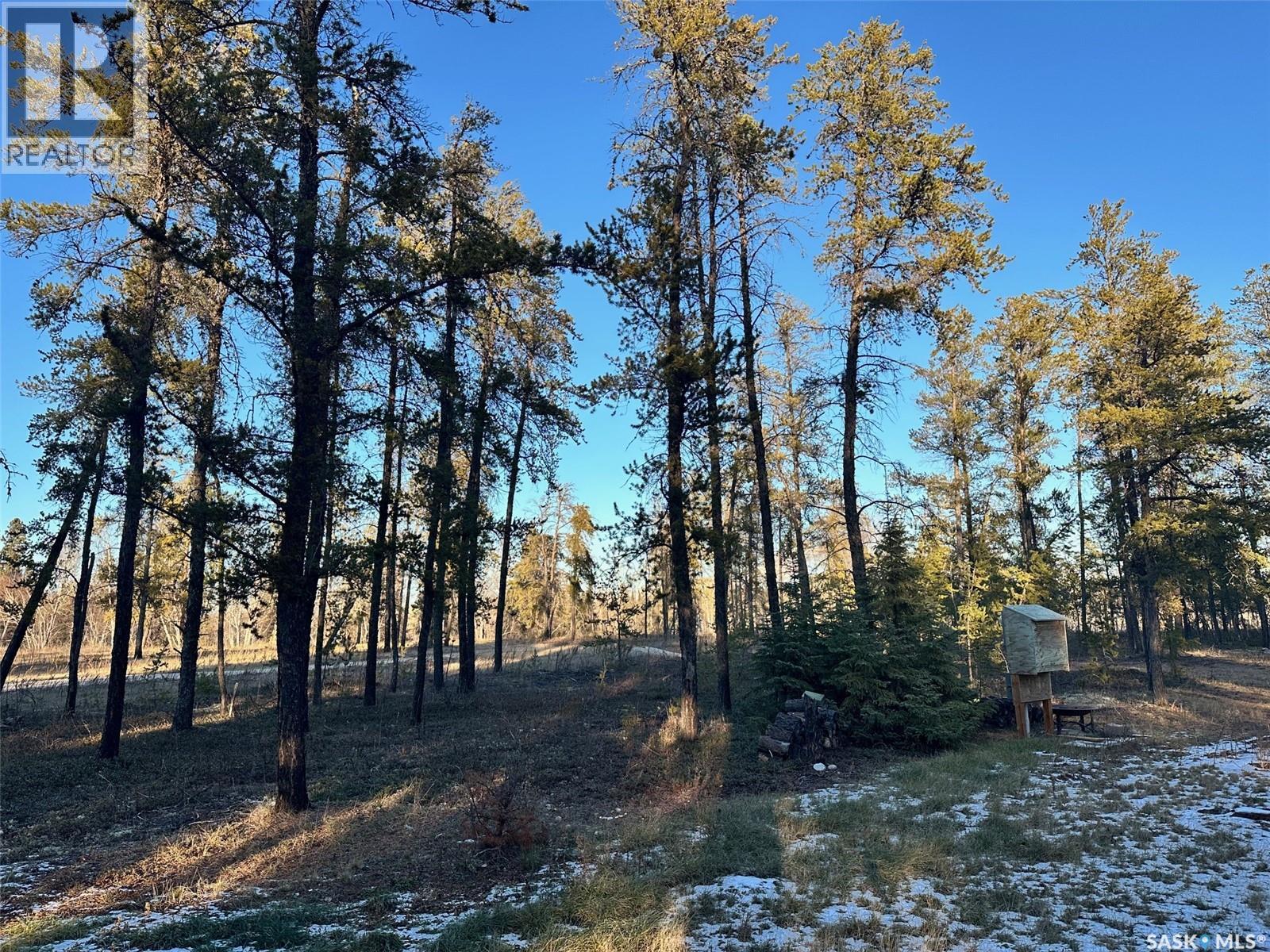 Ubongen Lot, Hudson Bay Rm No. 394, Saskatchewan  S0E 0Y0 - Photo 1 - SK009118