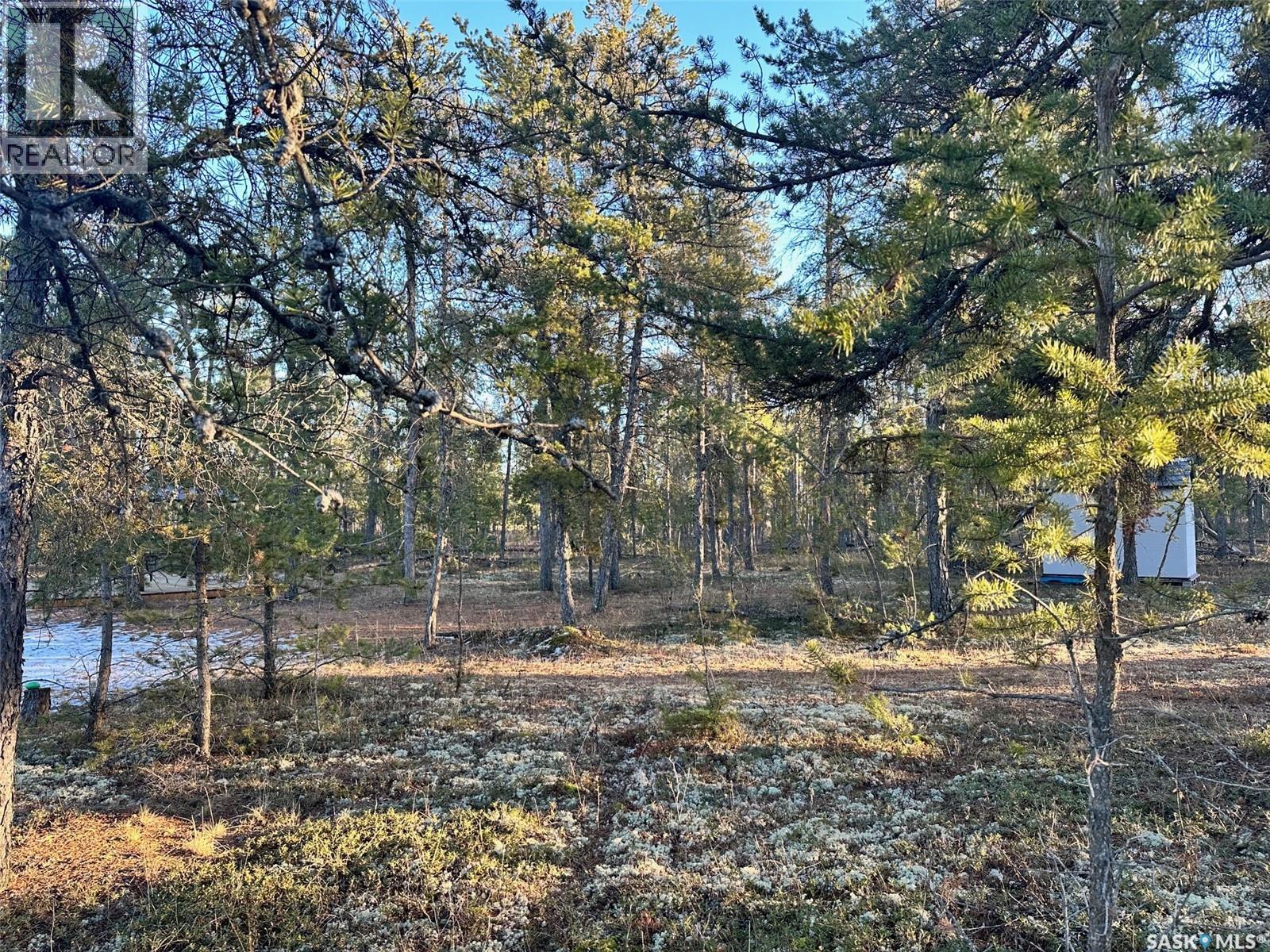 Ubongen Lot, Hudson Bay Rm No. 394, Saskatchewan  S0E 0Y0 - Photo 15 - SK009118