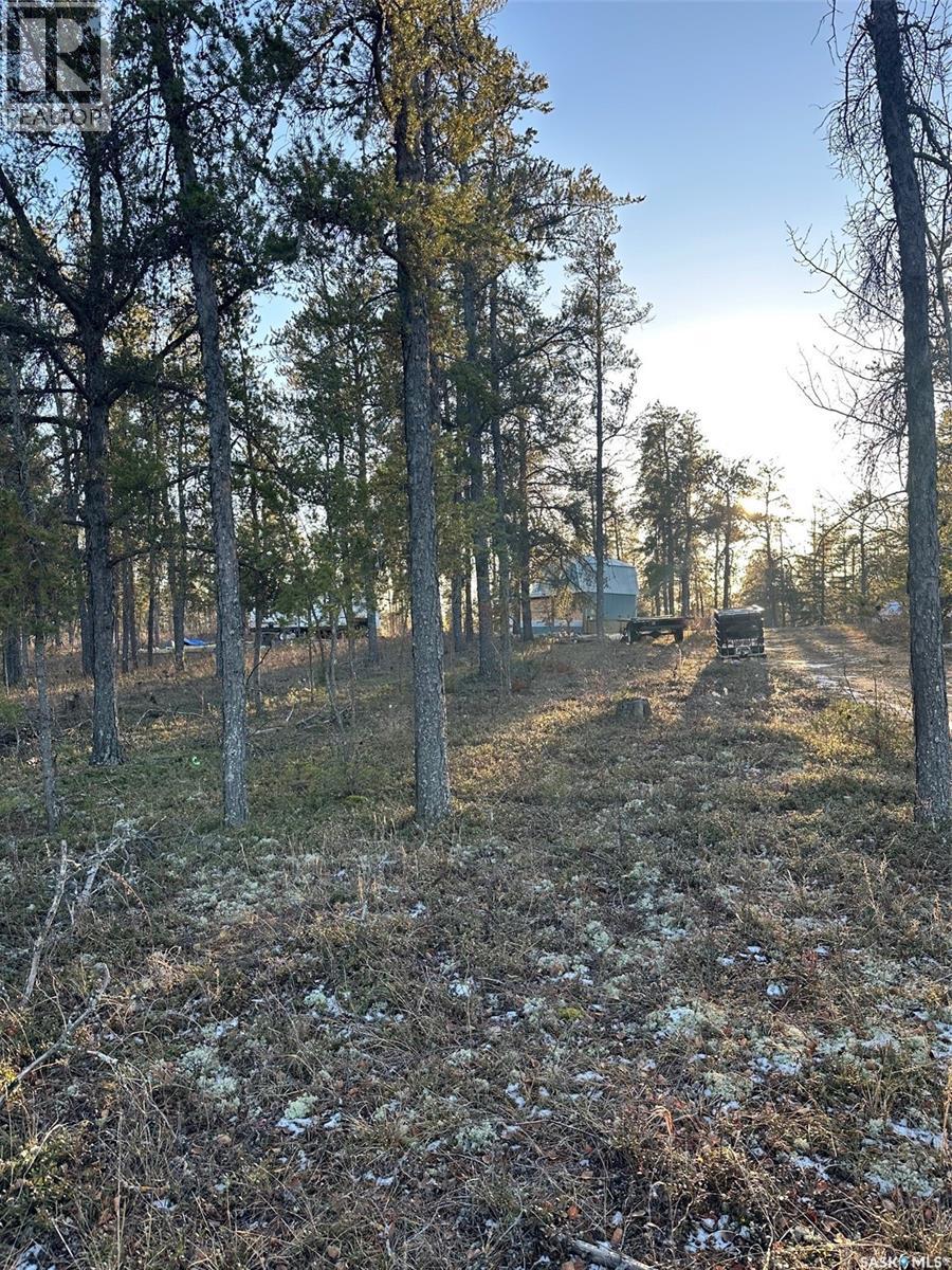 Ubongen Lot, Hudson Bay Rm No. 394, Saskatchewan  S0E 0Y0 - Photo 13 - SK009118