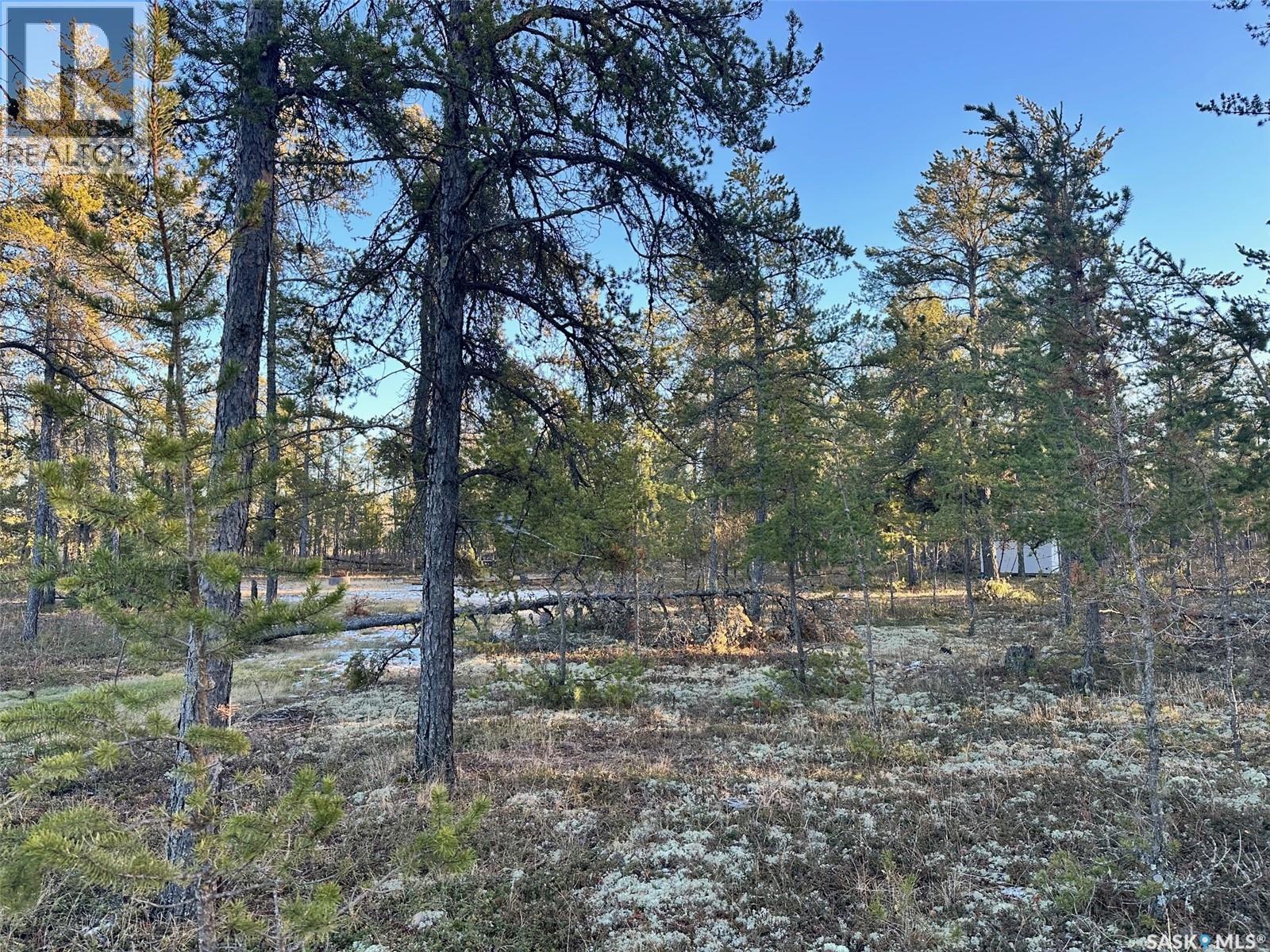 Ubongen Lot, Hudson Bay Rm No. 394, Saskatchewan  S0E 0Y0 - Photo 14 - SK009118