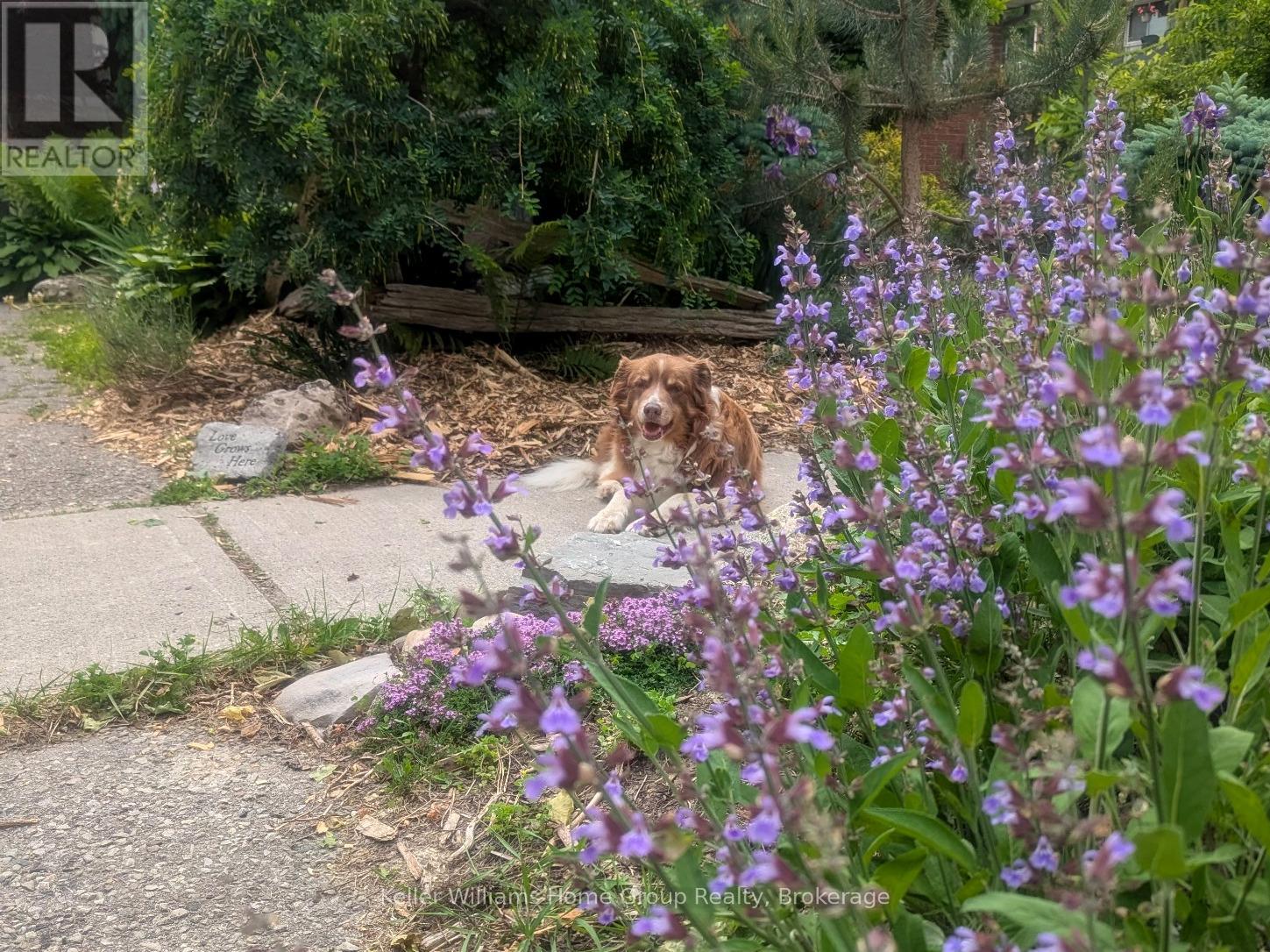 Upper - 34 Julia Drive, Guelph, Ontario  N1H 5W1 - Photo 24 - X12740182