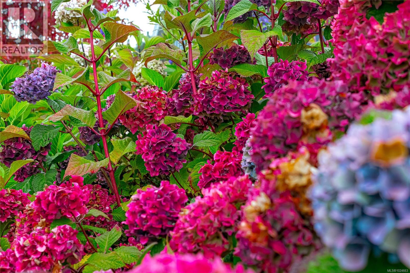 473 Ridgefield Dr, Parksville, British Columbia V9P 0E2 - Photo 57 - 1024663