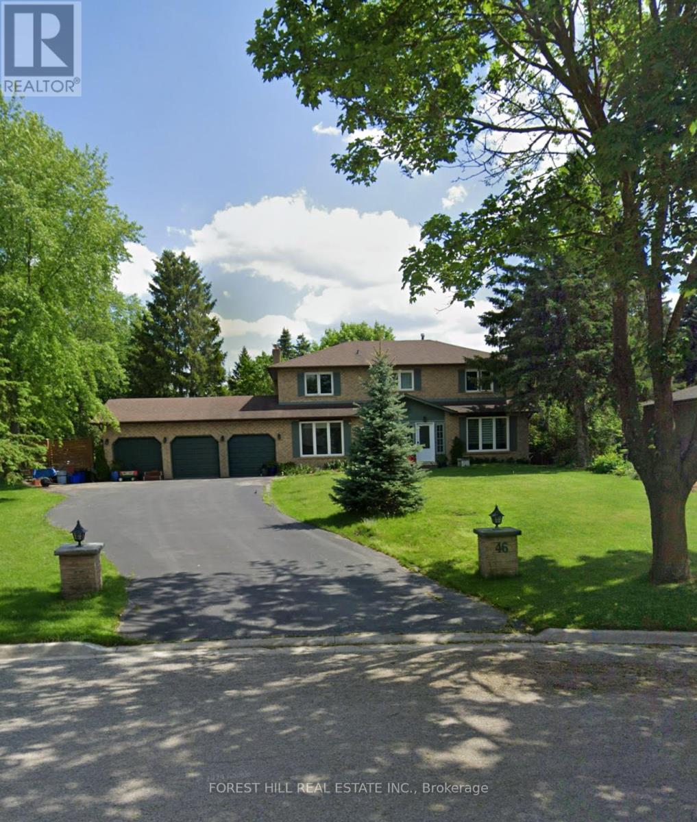 46 William Street, East Gwillimbury, Ontario  L0G 1V0 - Photo 1 - N12740818