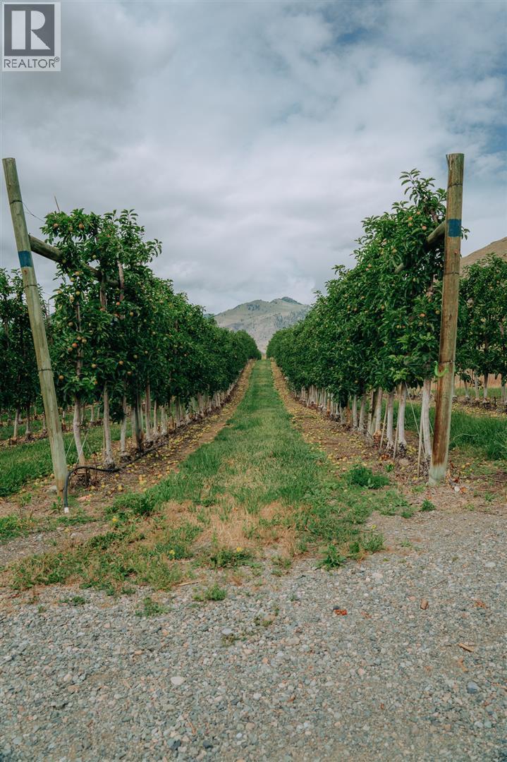 1731 Barcelo Road, Cawston, British Columbia  V0X 1C2 - Photo 12 - 10374345