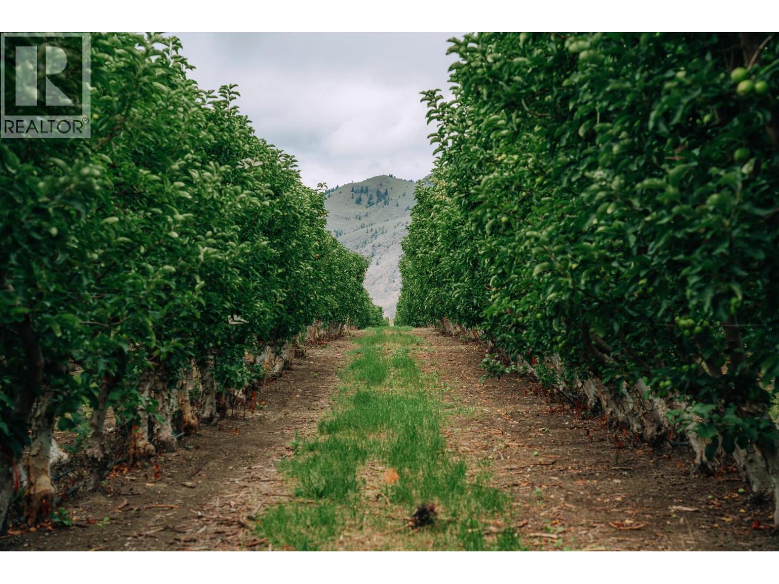 1731 Barcelo Road, Cawston, British Columbia  V0X 1C2 - Photo 14 - 10374345