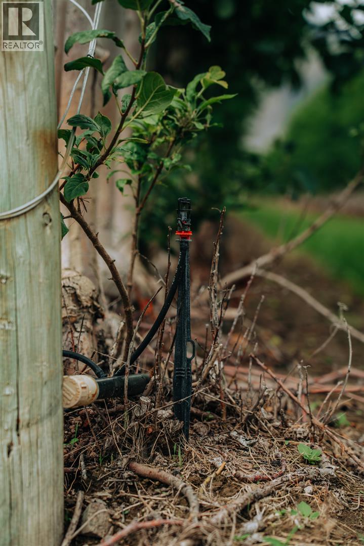 1731 Barcelo Road, Cawston, British Columbia  V0X 1C2 - Photo 17 - 10374345